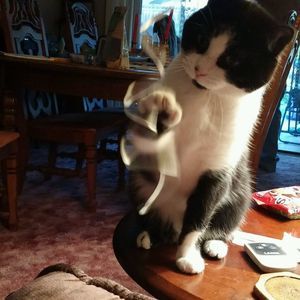 Meet your Posher, Kasey